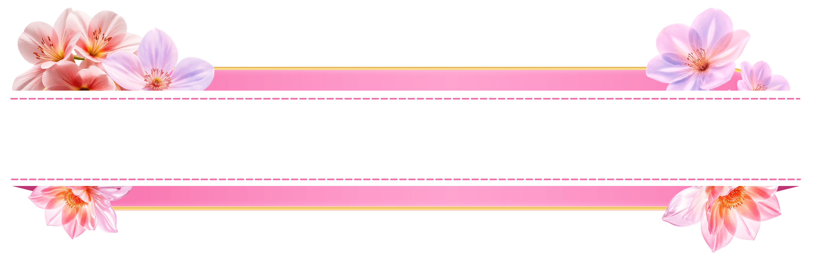 Ảnh banner
