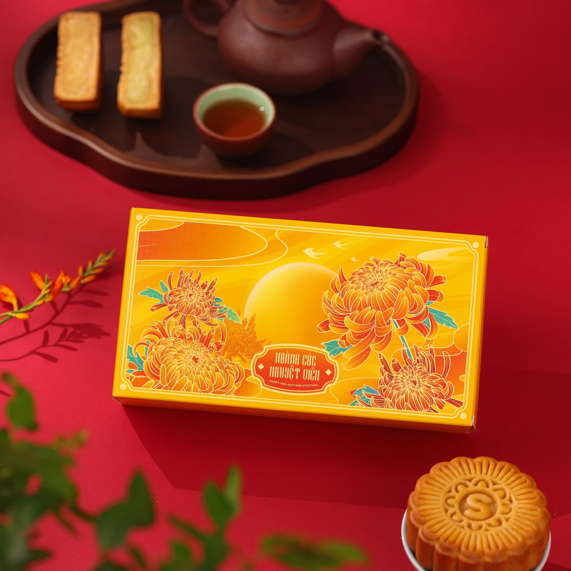 Hoàng Cúc PT2