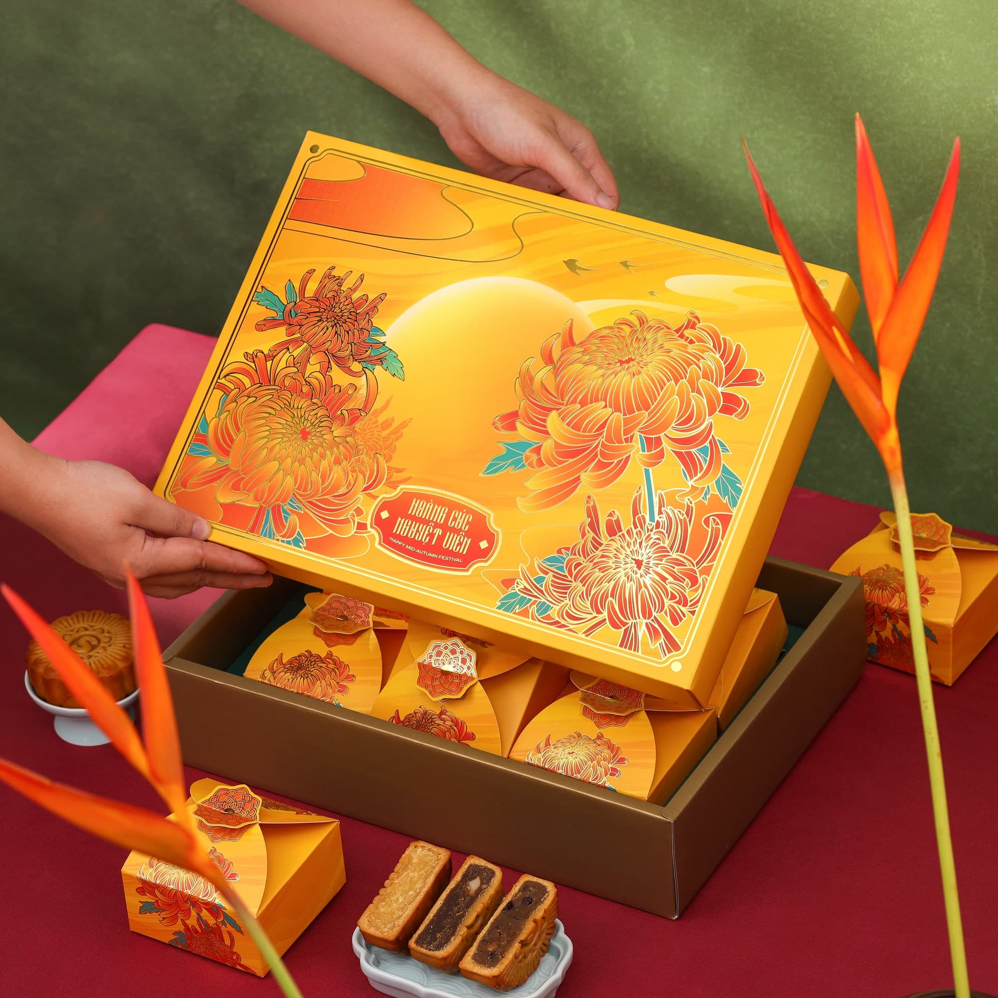 Hoàng Cúc PT6
